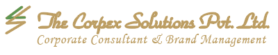 Chartered Accountant Pro
